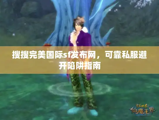 搜搜完美国际sf发布网，可靠私服避开陷阱指南