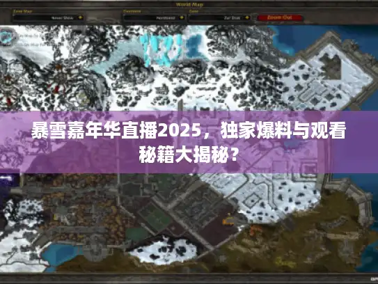 暴雪嘉年华直播2025，独家爆料与观看秘籍大揭秘？
