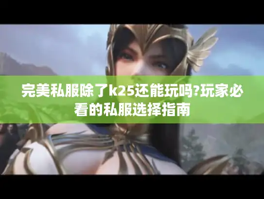 完美私服除了k25还能玩吗?玩家必看的私服选择指南