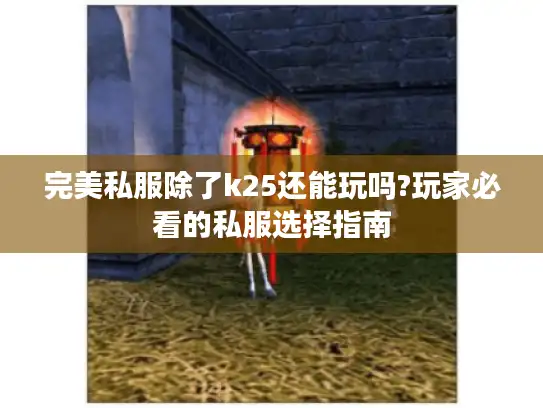 完美私服除了k25还能玩吗?玩家必看的私服选择指南