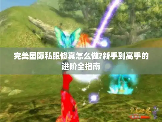 完美国际私服修真怎么做?新手到高手的进阶全指南
