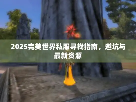 2025完美世界私服寻找指南，避坑与最新资源