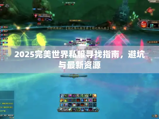 2025完美世界私服寻找指南，避坑与最新资源