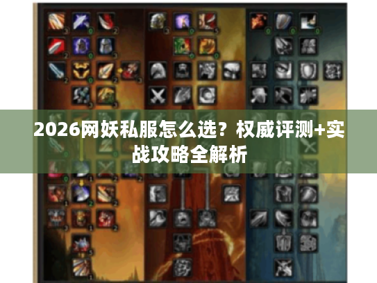 2026网妖私服怎么选?权威评测+实战攻略全解析 2026网妖私服怎么选?权威评测+实战攻略全解析