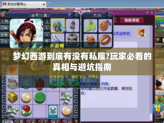 梦幻西游到底有没有私服?玩家必看的真相与避坑指南