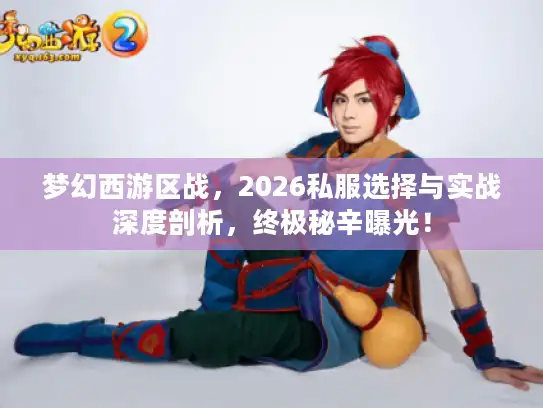梦幻西游区战，2026私服选择与实战深度剖析，终极秘辛曝光！