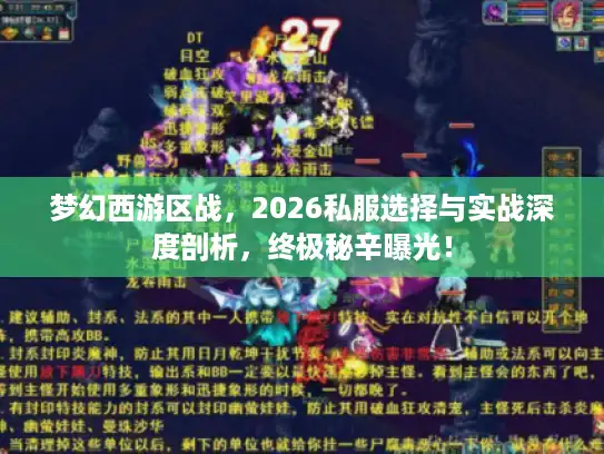 梦幻西游区战，2026私服选择与实战深度剖析，终极秘辛曝光！