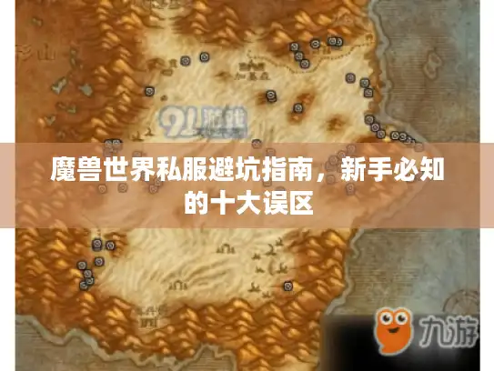 魔兽世界私服避坑指南，新手必知的十大误区