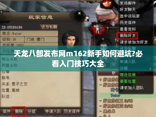 天龙八部发布网m162新手如何避坑?必看入门技巧大全