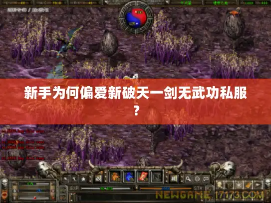 新手为何偏爱新破天一剑无武功私服? 新手为何偏爱新破天一剑无武功私服?