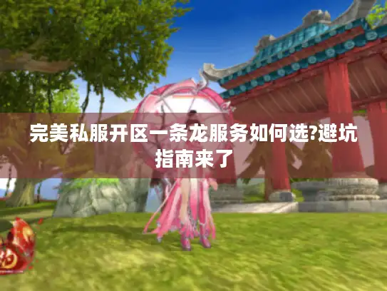 完美私服开区一条龙服务如何选?避坑指南来了