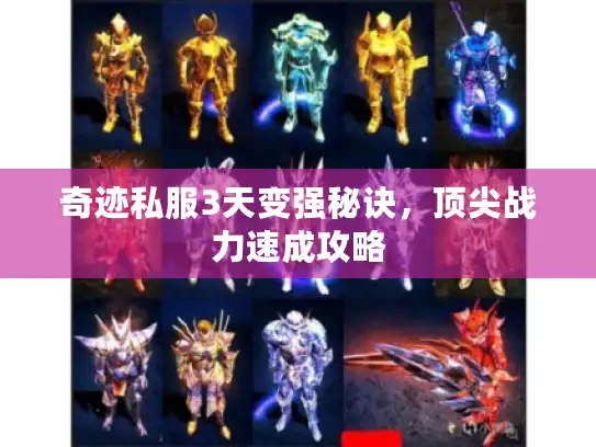 奇迹私服3天变强秘诀,顶尖战力速成攻略 奇迹私服3天变强秘诀,顶尖战力速成攻略