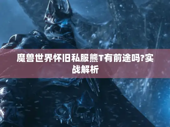 魔兽世界怀旧私服熊T有前途吗?实战解析 魔兽世界怀旧私服熊T有前途吗?实战解析