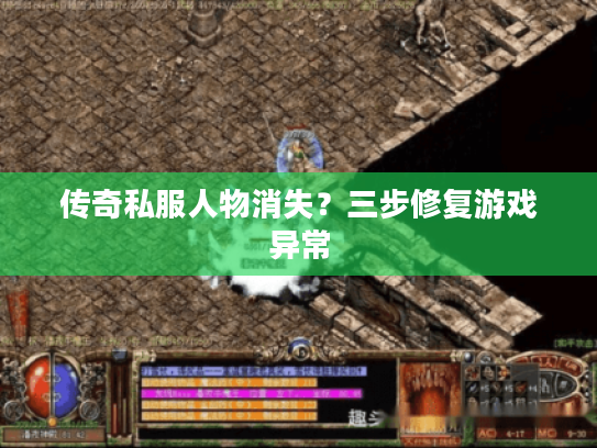 传奇私服人物消失？三步修复游戏异常