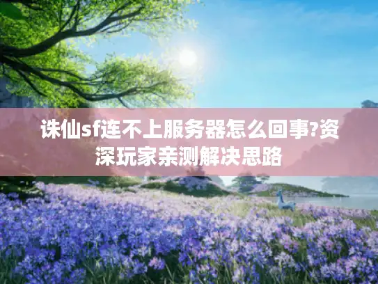 诛仙sf连不上服务器怎么回事?资深玩家亲测解决思路