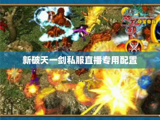 新破天一剑私服直播专用配置