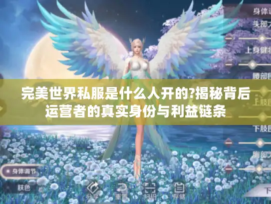 完美世界私服是什么人开的?揭秘背后运营者的真实身份与利益链条