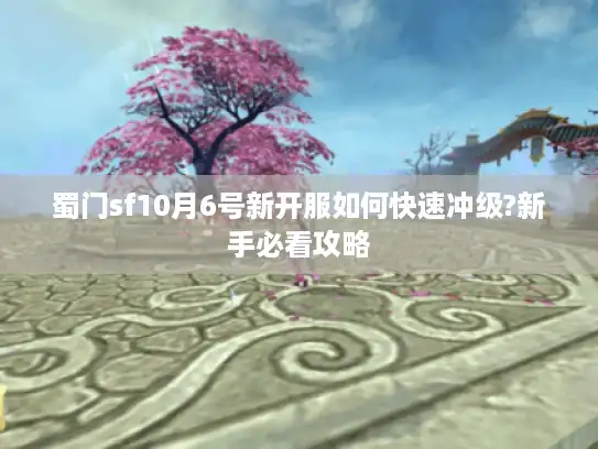 蜀门sf10月6号新开服如何快速冲级?新手必看攻略