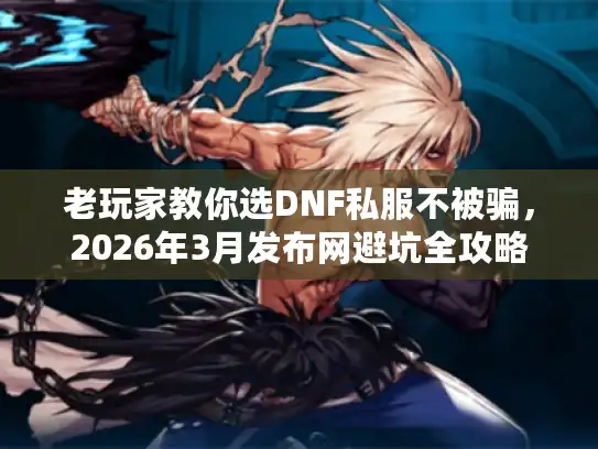 老玩家教你选DNF私服不被骗，2026年3月发布网避坑全攻略