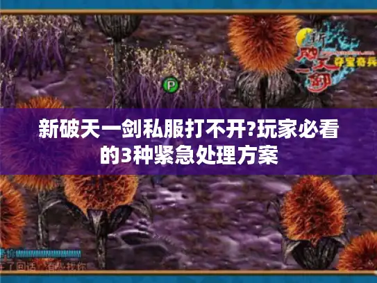 新破天一剑私服打不开?玩家必看的3种紧急处理方案