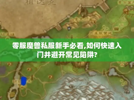 零服魔兽私服新手必看,如何快速入门并避开常见陷阱?