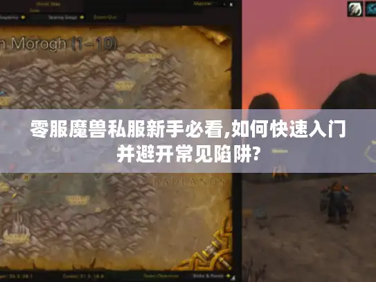 零服魔兽私服新手必看,如何快速入门并避开常见陷阱?
