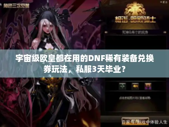 宇宙级欧皇都在用的DNF稀有装备兑换券玩法，私服3天毕业？