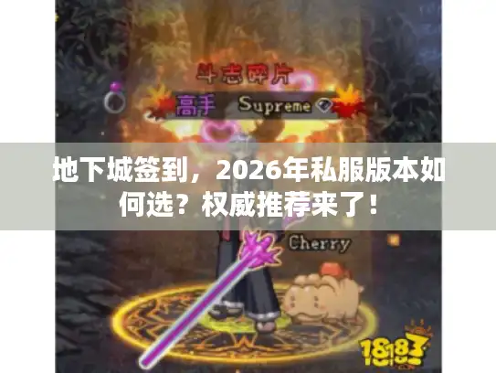 地下城签到，2026年私服版本如何选？权威推荐来了！