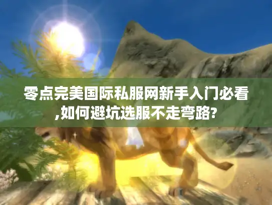 零点完美国际私服网新手入门必看,如何避坑选服不走弯路?