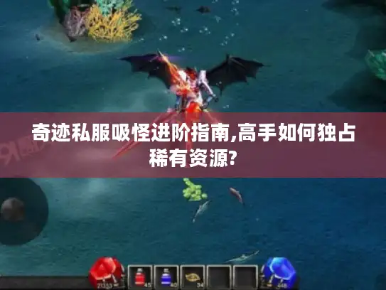 奇迹私服吸怪进阶指南,高手如何独占稀有资源?
