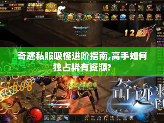 奇迹私服吸怪进阶指南,高手如何独占稀有资源?