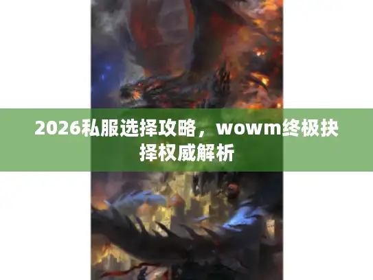 2026私服选择攻略，wowm终极抉择权威解析