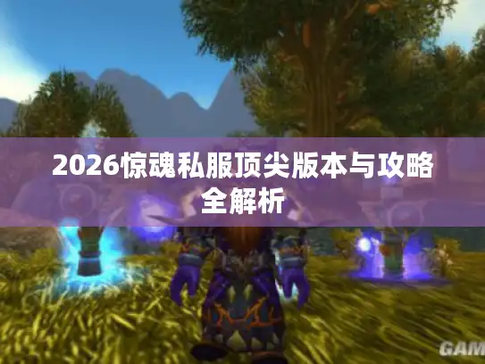 2026惊魂私服顶尖版本与攻略全解析 2026惊魂私服顶尖版本与攻略全解析