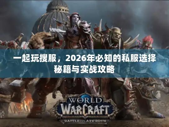 一起玩搜服,2026年必知的私服选择秘籍与实战攻略 一起玩搜服,2026年必知的私服选择秘籍与实战攻略