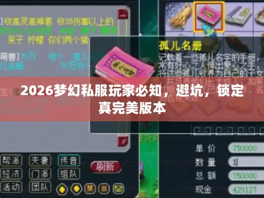 2026梦幻私服玩家必知，避坑，锁定真完美版本