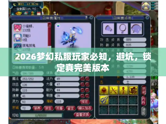 2026梦幻私服玩家必知，避坑，锁定真完美版本