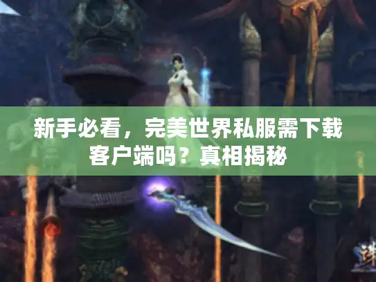 新手必看，完美世界私服需下载客户端吗？真相揭秘