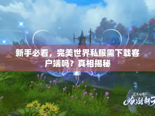 新手必看，完美世界私服需下载客户端吗？真相揭秘
