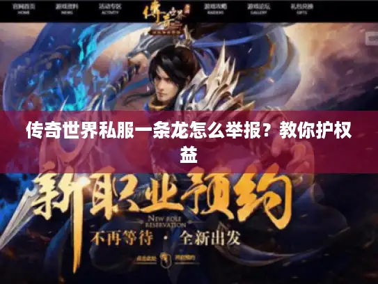传奇世界私服一条龙怎么举报？教你护权益