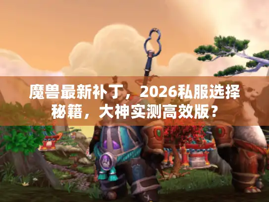 魔兽最新补丁，2026私服选择秘籍，大神实测高效版？