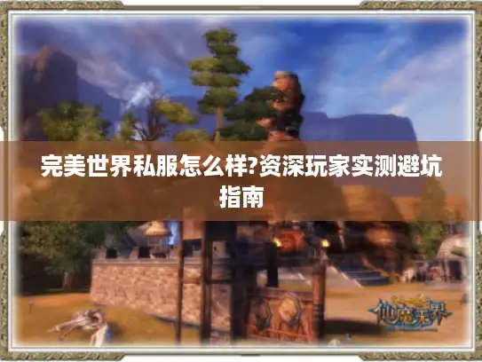 完美世界私服怎么样?资深玩家实测避坑指南