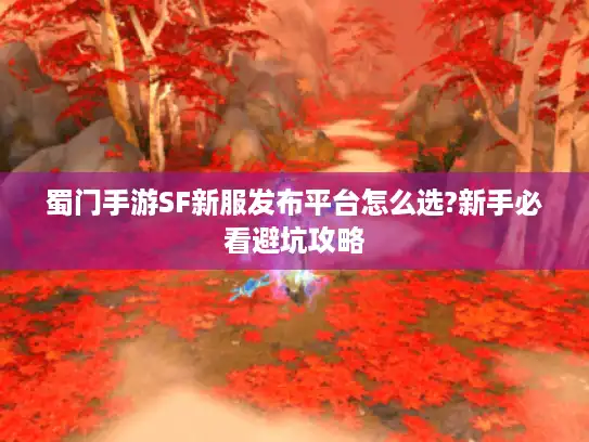 蜀门手游SF新服发布平台怎么选?新手必看避坑攻略 蜀门手游SF新服发布平台怎么选?新手必看避坑攻略