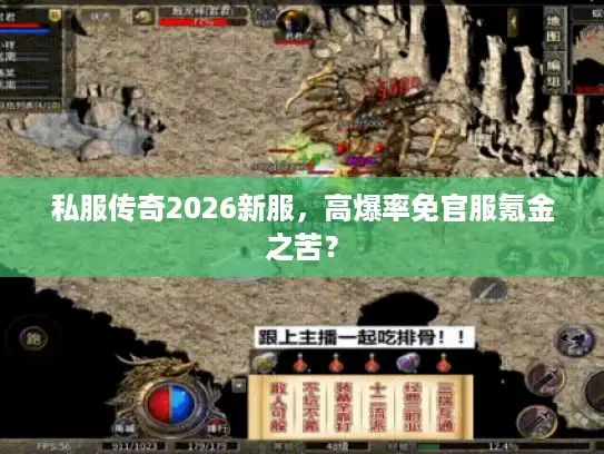 私服传奇2026新服,高爆率免官服氪金之苦? 私服传奇2026新服,高爆率免官服氪金之苦?