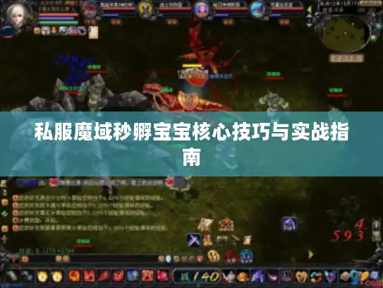 私服魔域秒孵宝宝核心技巧与实战指南