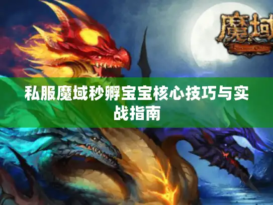 私服魔域秒孵宝宝核心技巧与实战指南