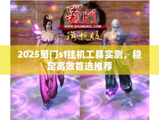 2025蜀门sf挂机工具实测，稳定高效首选推荐