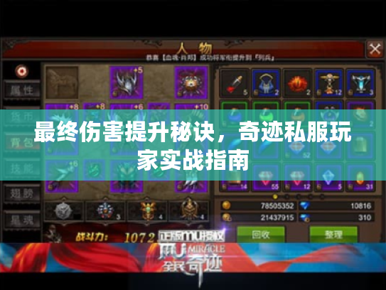 最终伤害提升秘诀，奇迹私服玩家实战指南