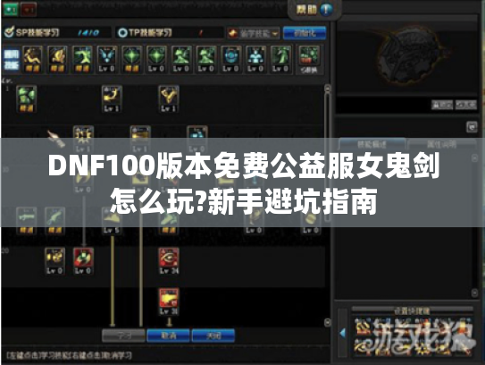 DNF100版本免费公益服女鬼剑怎么玩?新手避坑指南