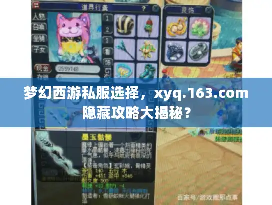 梦幻西游私服选择，xyq.163.com隐藏攻略大揭秘？