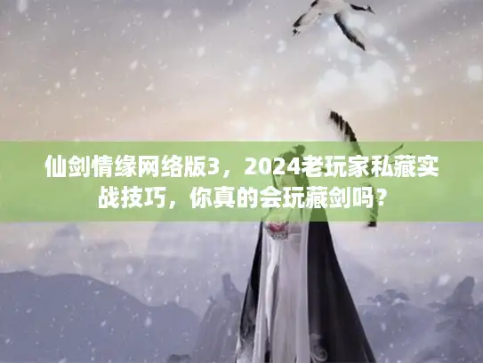 仙剑情缘网络版3，2024老玩家私藏实战技巧，你真的会玩藏剑吗？